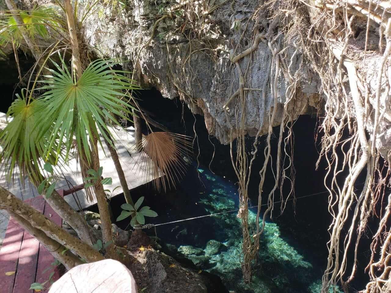 Cenote Dos Palmas — foto 2 de 5