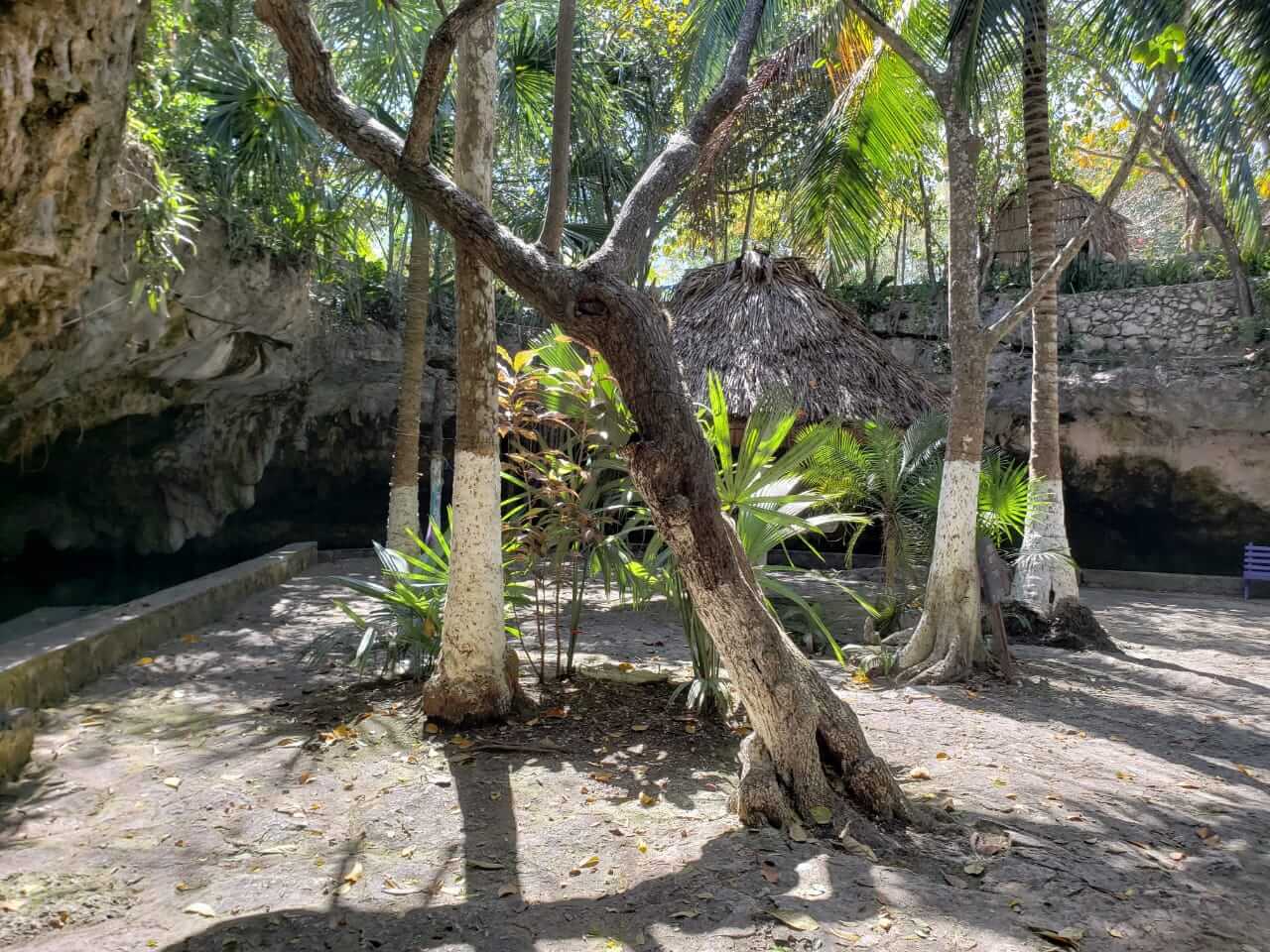 Cenote Dos Palmas — foto 3 de 5