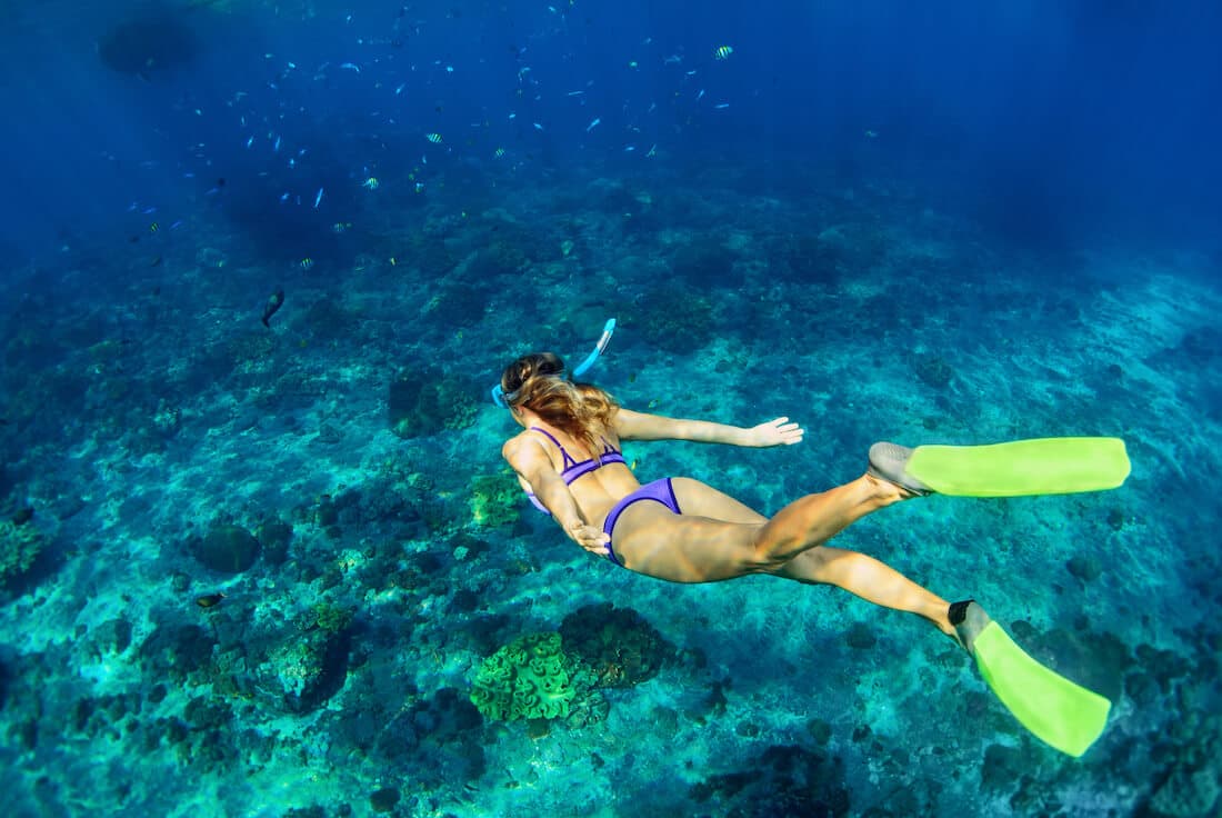 Cozumel Sea Safari — foto 4 de 5
