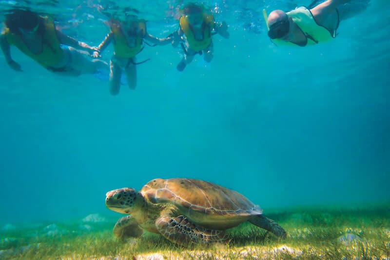 Cobá & Turtle Adventure — foto 4 de 5