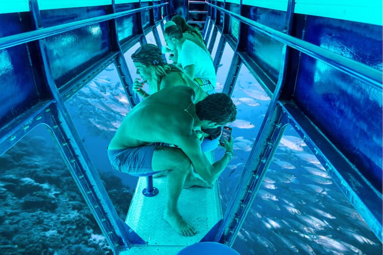 Snorkel Paradise by Nautibus — foto 1 de 5